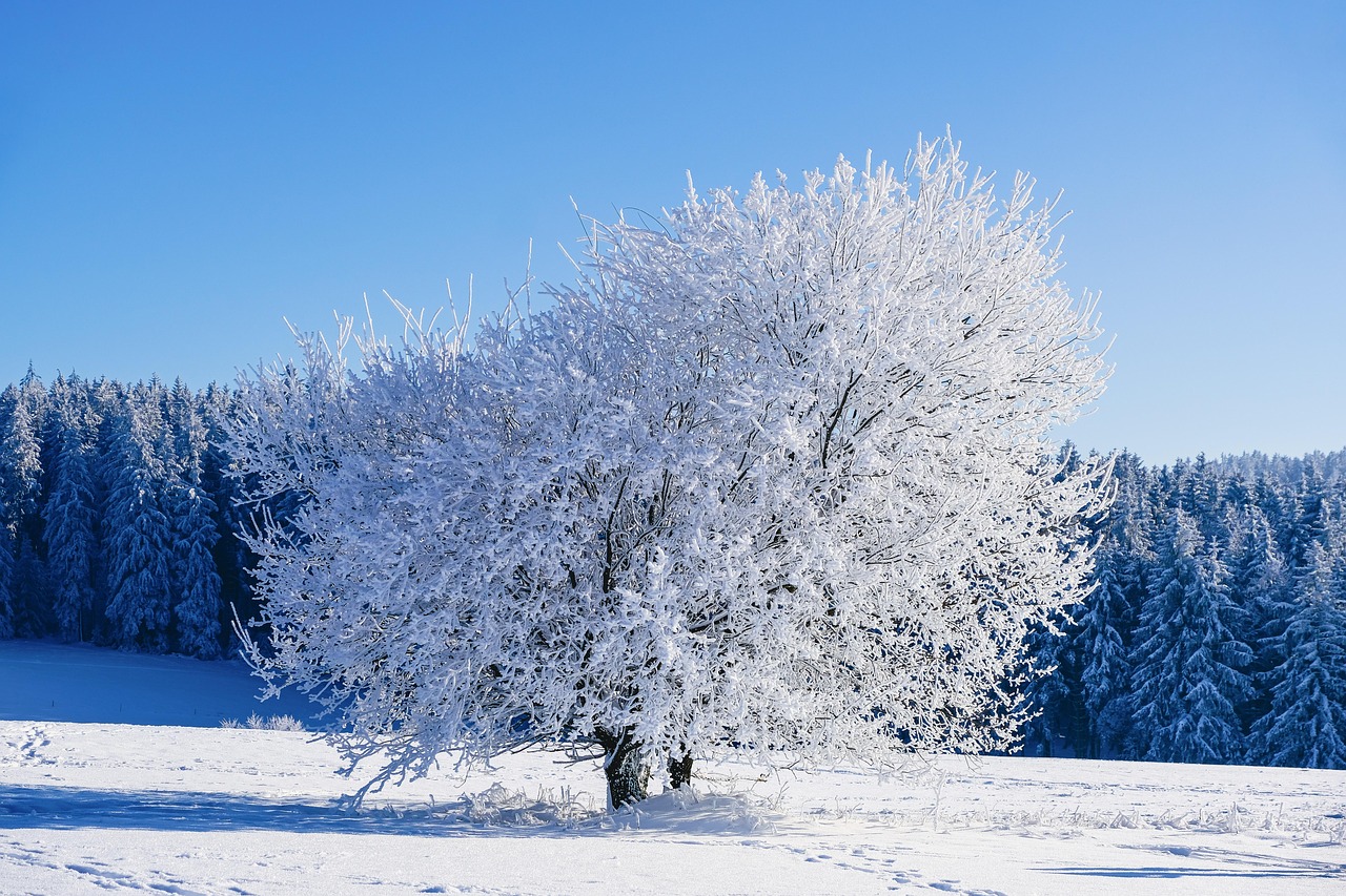entdecken sie effektive winter-hautpflege-tipps für eine geschützte, hydratisierte und strahlende haut in der kalten jahreszeit.